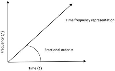 The spatial frequency domain designated watermarking framework uses linear blind source separation for intelligent visual signal processing